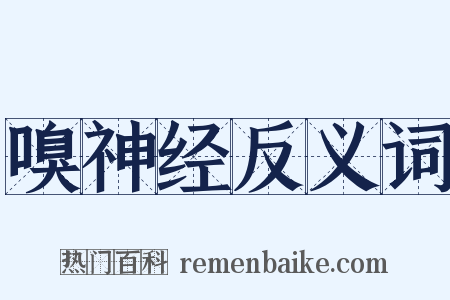 嗅神经反义词是什么意思的图片